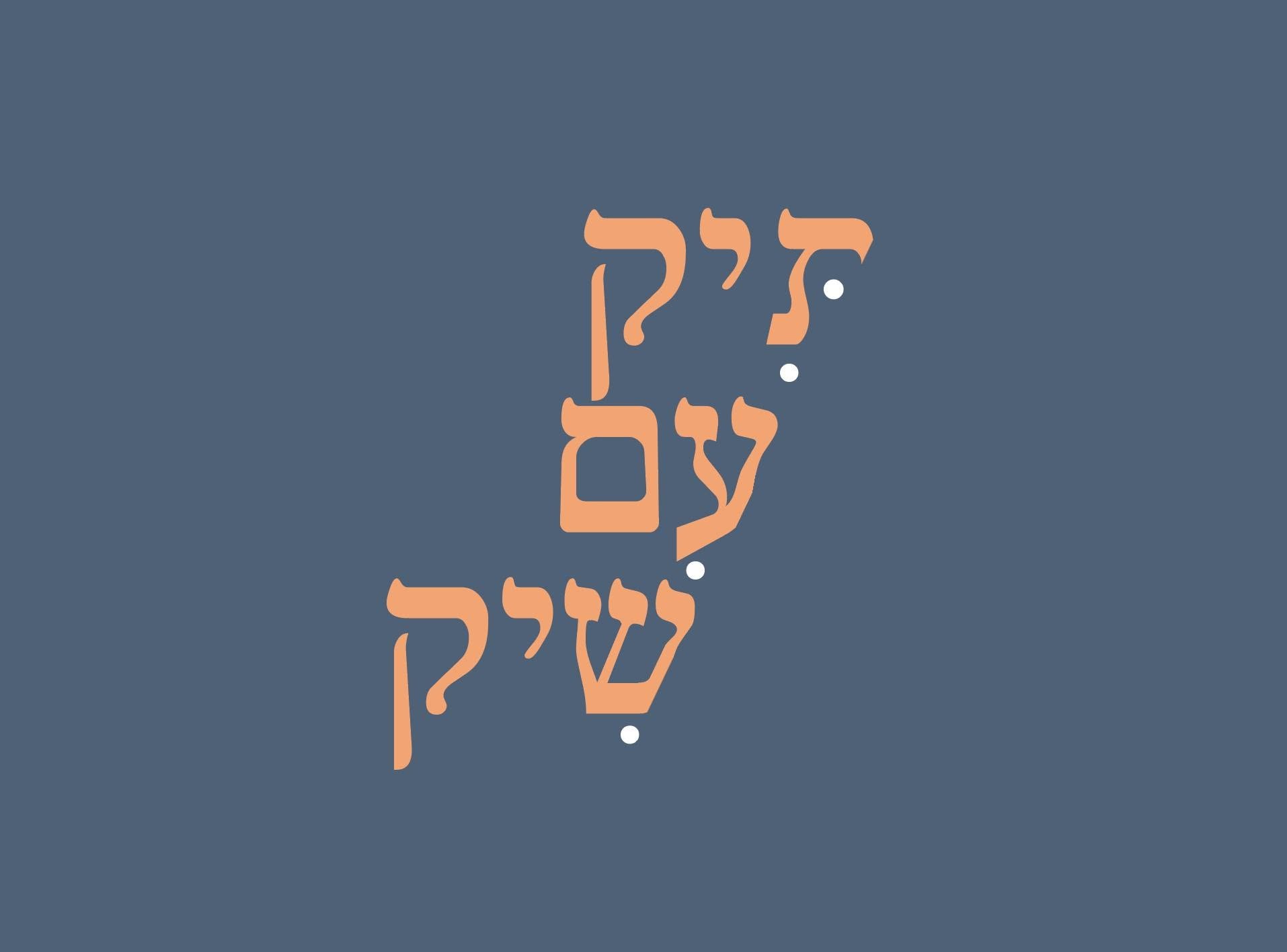תיק עם שיק לוגו